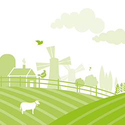 Farm Diversity