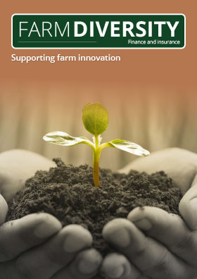 Finance & Insurance front cover Finance & Insurance front cover