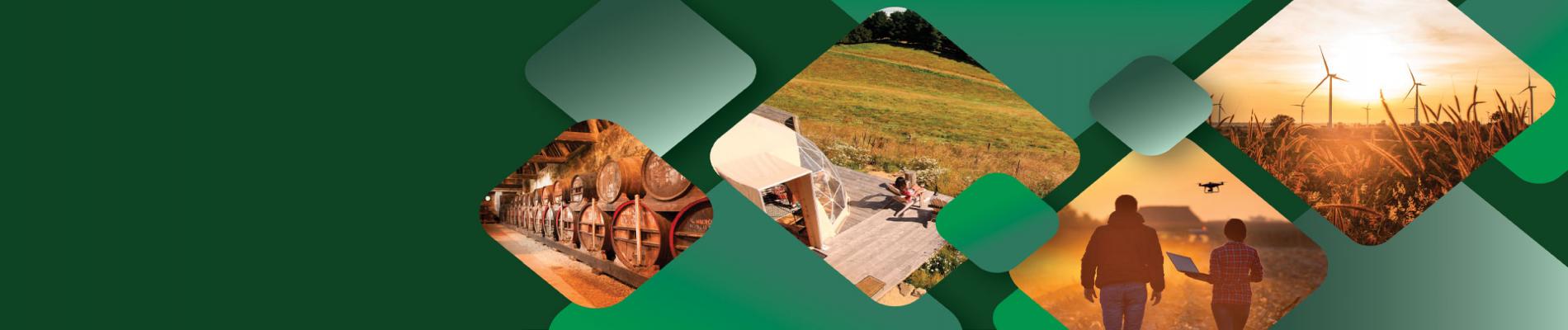 Farm Diversity Live banner Farm Diversity Live banner